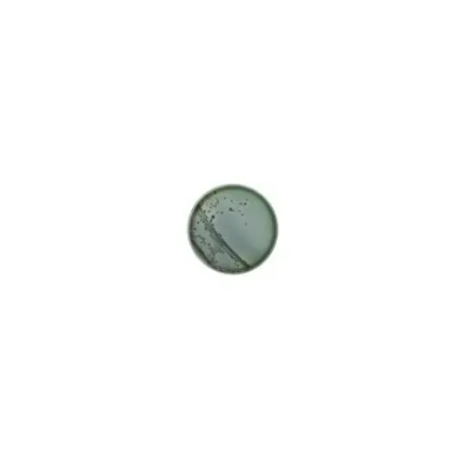 Remel - R01865 - Prepared Media Remel Tcbs Agar (thiosulfate, Citrate, Bile, Sucrose) Mono-plate Format