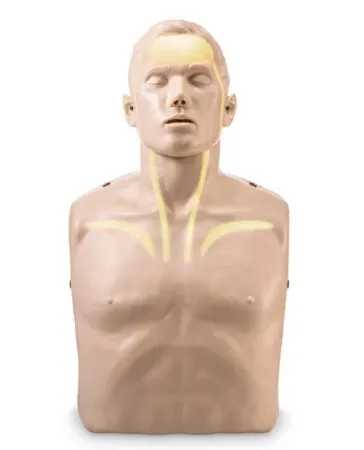 Nasco - Brayden - SB50941 - CPR Training Manikin Brayden Adult