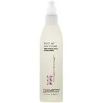 Giovanni - From: 215581 To: 215583 - Hair Care with Certified Organic Botanicals Root 66 Directional Root Lifting Spray  Styling Aids