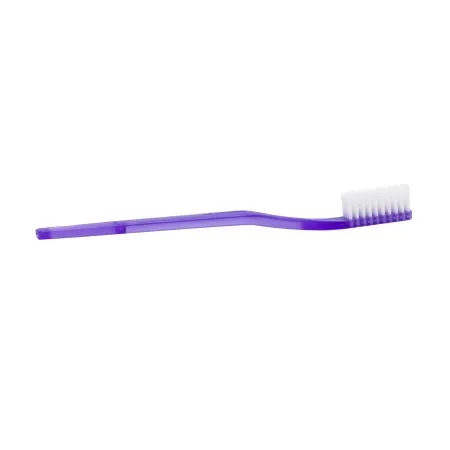 Donovan Industries - DawnMist - TB40 -  Toothbrush  Translucent Purple Adult Soft