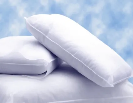 The Pillow Factory Division - Personal Pillow - 51107-441 - Bed Pillow Personal Pillow 17 X 22 Inch White Disposable
