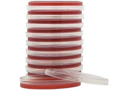 Hardy Diagnostics - A10 - Prepared Media Tryptic Soy Agar (TSA) with 5% Sheep Blood Red Petri Plate Format