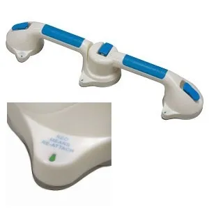 Briggs - From: 521-1560-1924 To: 521-1562-1916 - Suction Cup Grab Bar, 24"