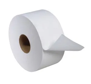 Essity - 12024402 - Bath Tissue Roll, Jumbo, Mini, Advanced, White, 2-Ply, T2, 751ft, 3.6" x 7.4", 12 rl/cs