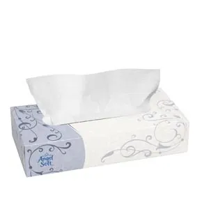 Georgia-Pacific Consumer From: 48560 To: 48580 - Flat Facial Tissue