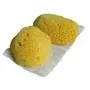Jade & Pearl - From: 14517 To: 228300 - Sea Sponge (reusable)