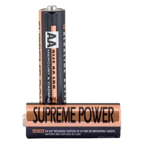 Supreme Technologies From: SPAAAKAM To: SPAAAKAMX4 - AAA Alkaline Battery For Glucose Monitor 2 Count 1 Battery